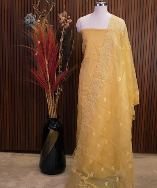 Organza Applique Cut Work Suit Set