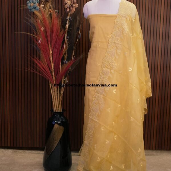 Organza Applique Cut Work Suit Set