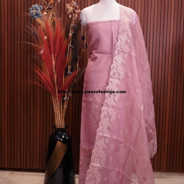 Organza Applique Cut Work Suit Set