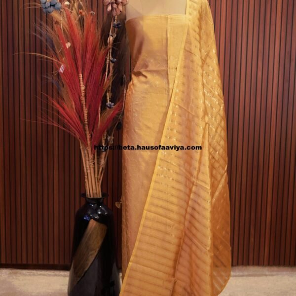 Banaras Designer allover work Suit