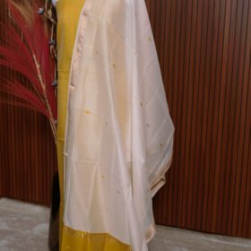 DSC00249
