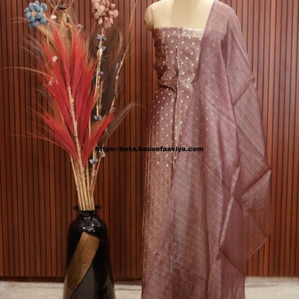 Banaras Tissue Designer Suit Set