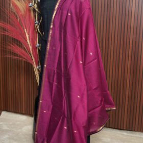 DSC00310