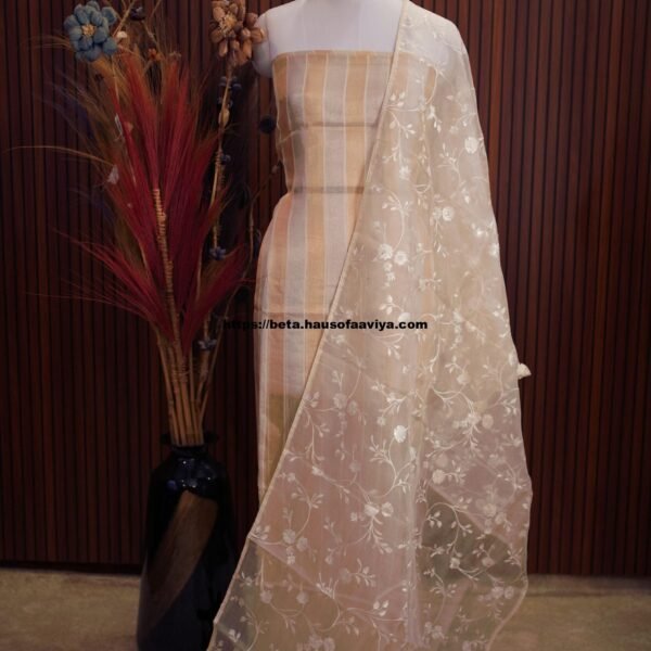 Organza Designer Party Wear Suit Set