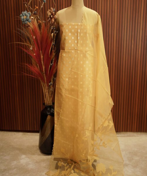 Cotton Tissue Designer Suit Set