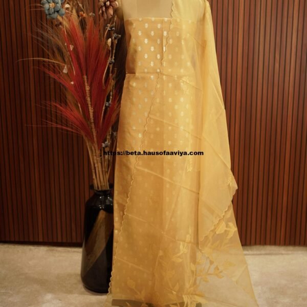 Cotton Tissue Designer Suit Set