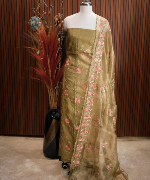 Banaras Tissue Designer Suit Set