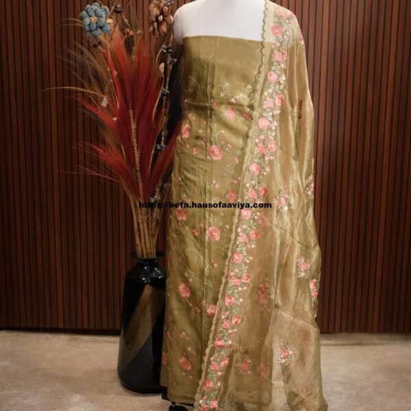 Banaras Tissue Designer Suit Set