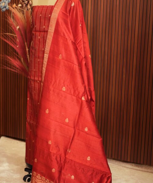 Alternative view of Banaras Raw Silk Suit Set