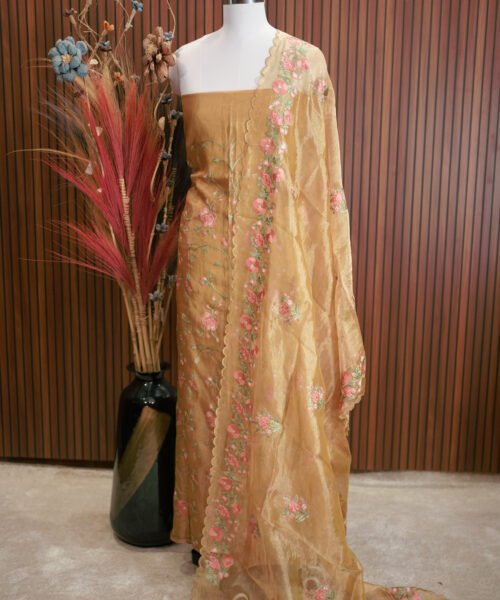Banaras Tissue Designer Suit Set