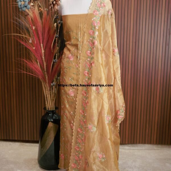 Banaras Tissue Designer Suit Set