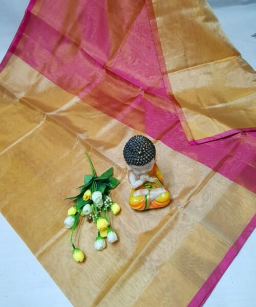 Pure Uppada Tissue Silk Handloom Saree with Contrast Pallu
