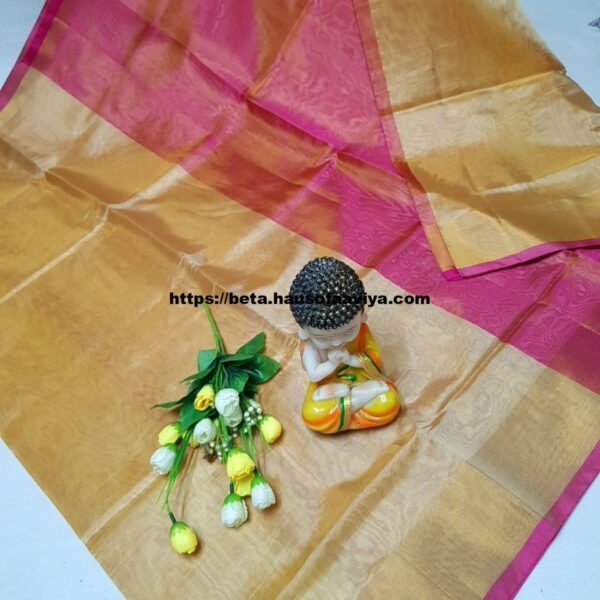 Pure Uppada Tissue Silk Handloom Saree with Contrast Pallu