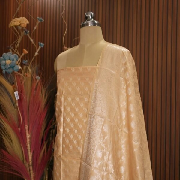 Banaras Muga Cotton Suit Dummy